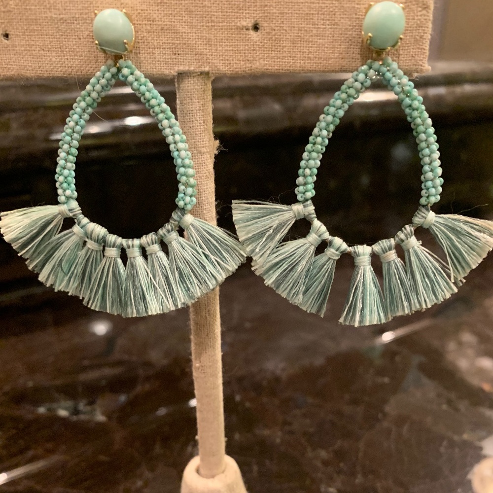 Stella and Dot Fringe Earring